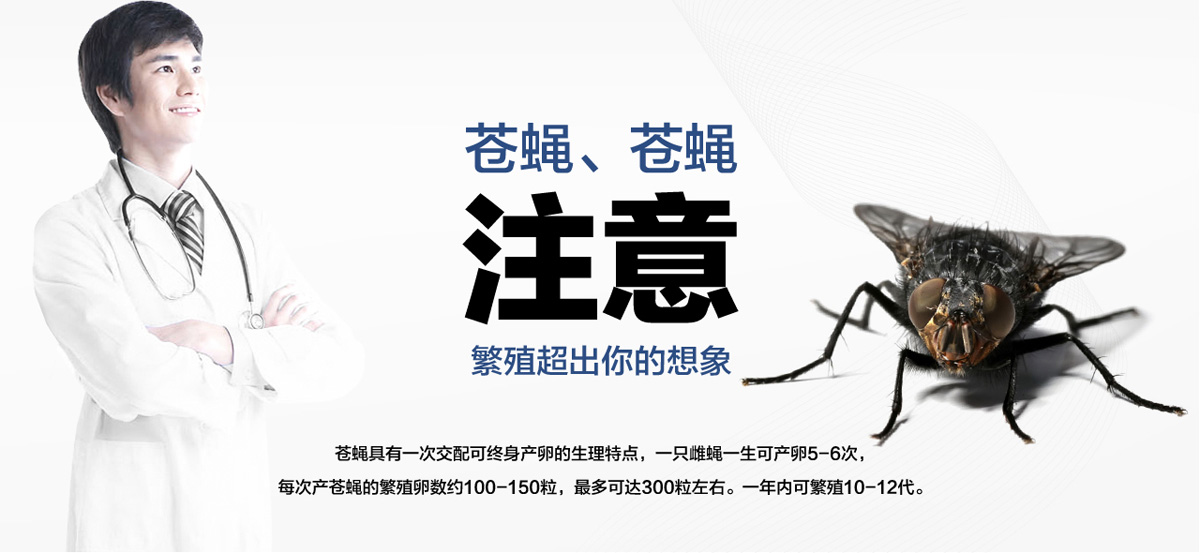 老鼠聰明超出你想象。