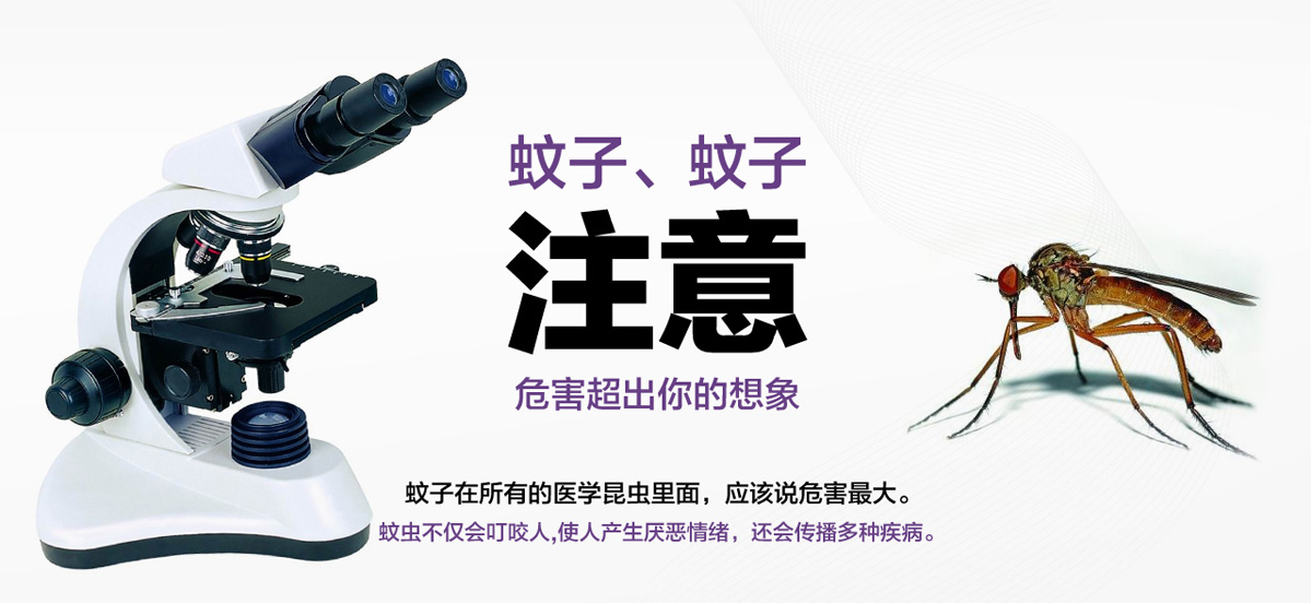 蚊子危害超出你的想象。